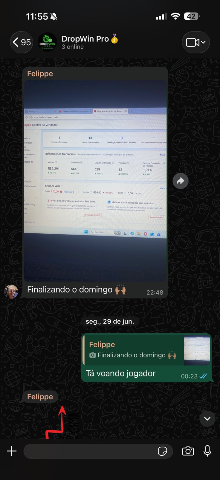 Aluno mostrando painel da Shopee com vendas no domingo